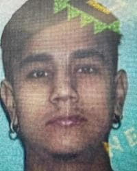 D'ANGELO SANCHEZ