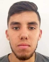 LUIS VALDES PENA